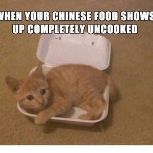 Meet your Posher, Bill